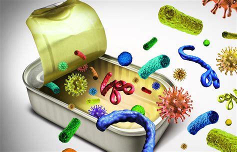 Infografía sobre las principales bacterias causantes de intoxicaciones alimentarias
