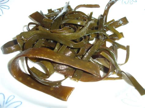 Alga Espagueti de Mar fresca en su hábitat natural