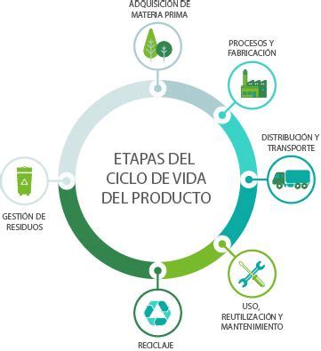 Diagrama del ciclo de vida de la producción de carne y su impacto