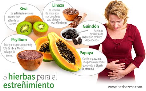 Plantas medicinales y hierbas para el estreñimiento