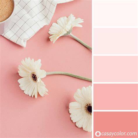 Paleta de colores rosa y blanco para decoración de pasteles