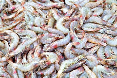 Selección de camarones frescos en un mercado