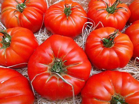 Variedades de tomate Marmande: acanalado, cornudo y de corazón