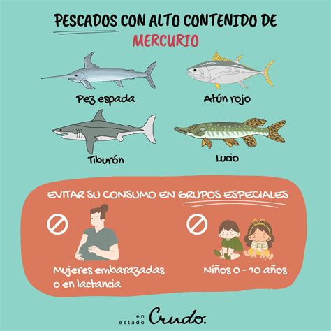 Infografía sobre pescados con alto contenido en mercurio