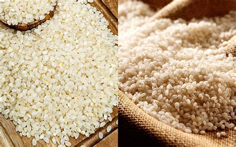 Diferencias entre arroz bomba y arroz redondo
