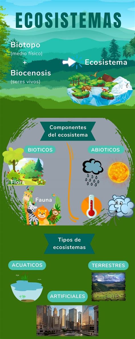 Infografía sobre el Green-Score y su significado