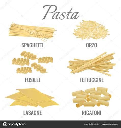 Diferentes tipos de pasta: espaguetis, macarrones, fusilli y ravioles