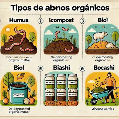 Tipos de abonos orgánicos para calabazas