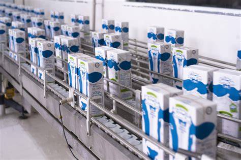 Envases de leche fresca y leche UHT