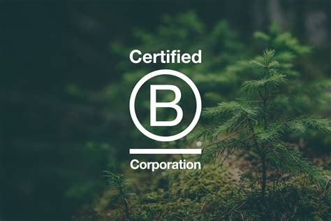 Logo de certificación B-Corp