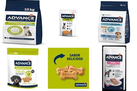 Perro disfrutando de su comida Advance