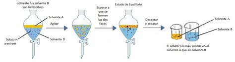 Proceso de extracción de almidón (molienda, remojo, decantación, secado)