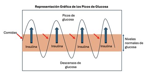 Gráfico que ilustra los picos de glucosa en el cuerpo después de consumir alimentos con alto contenido de azúcar y su relación con la insulina.