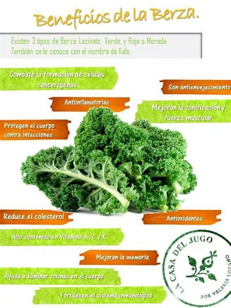 Infografía: Beneficios de la berza para la salud