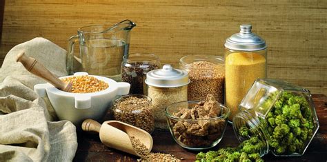 Ingredientes básicos para hacer cerveza