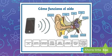 Diagrama explicando cómo funciona el Green-Score