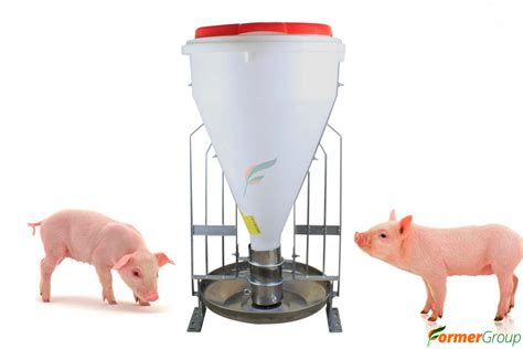 Distribución de comederos con tres filas de cubículos