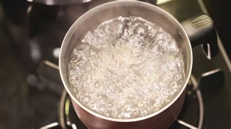 Olla con agua y sal para cocer centollo