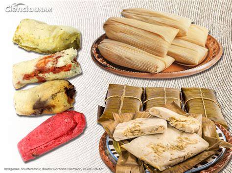 Variedad de tamales mexicanos