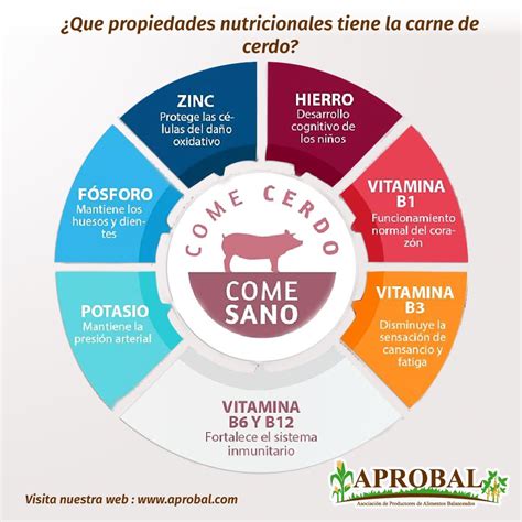 Vitaminas y minerales presentes en la carne de cerdo