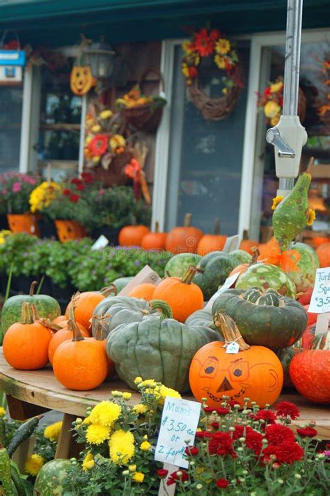 Puesto de venta de calabazas de diferentes variedades