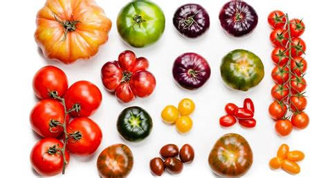 Variedad de gazpachos sin tomate