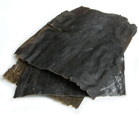 Alga kombu y setas shiitake secas para dashi