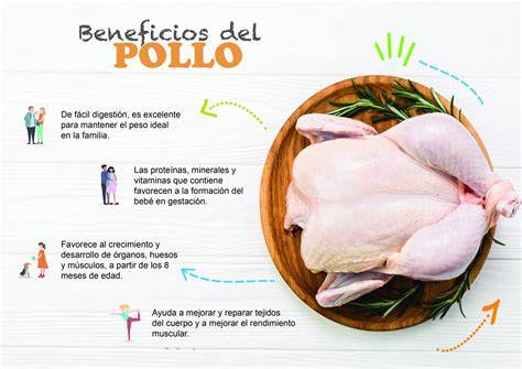 Infografía: Beneficios de la pechuga de pollo para la construcción muscular