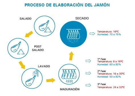 Proceso de curado de jamones
