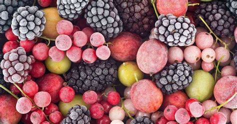 Variedad de frutas frescas y congeladas aptas para la fermentación
