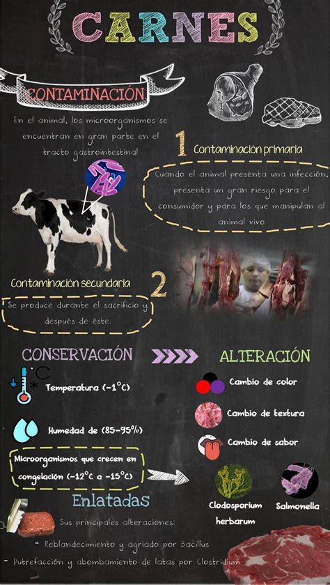 Infografía sobre riesgos veterinarios en la carne