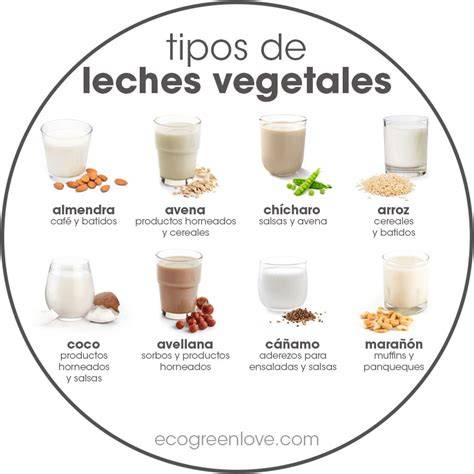 Tipos de leches vegetales