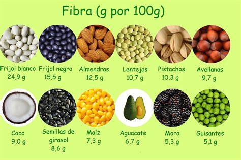 Alimentos ricos en fibra