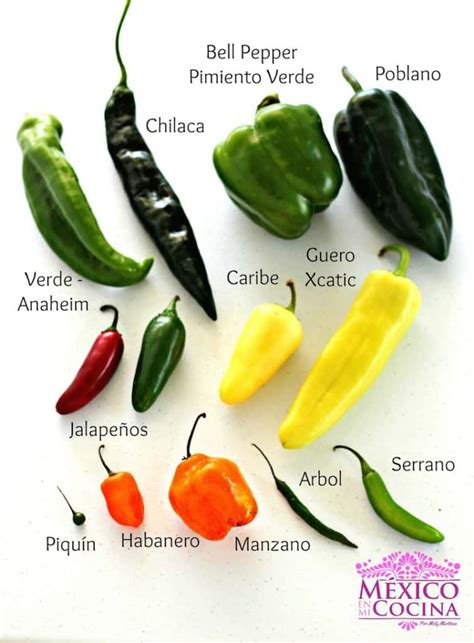 Variedades de chiles habaneros
