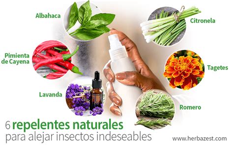 Tabla: Comparativa de repelentes naturales para mosquitos