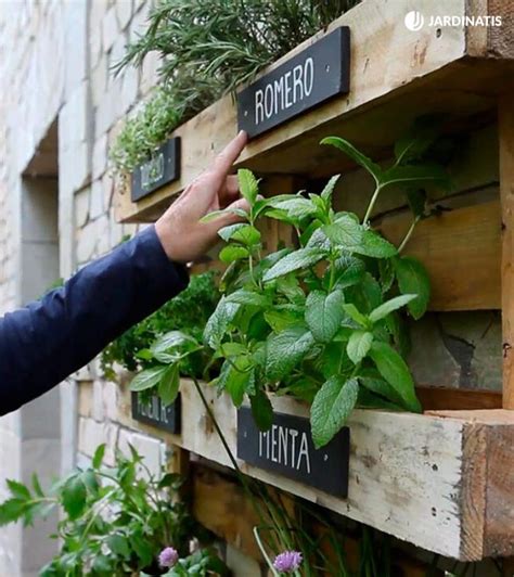 Ejemplos de jardines verticales con hierbas aromáticas