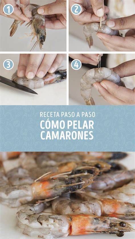 Diagrama paso a paso de la limpieza y desvenado de camarones