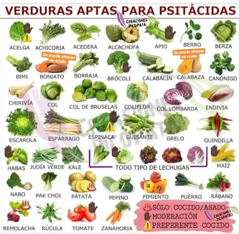 Tabla de verduras aptas y no aptas para congelar