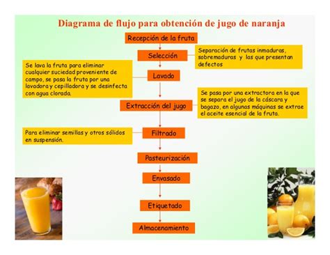 Diagrama de flujo de un extractor de jugo de zanahoria