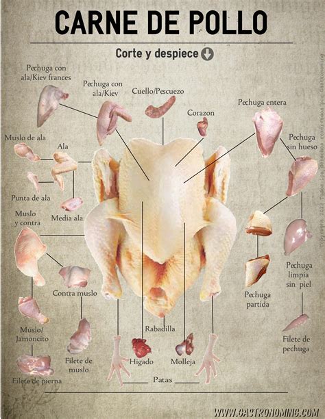Comparación de texturas de carne de pollo y gallina
