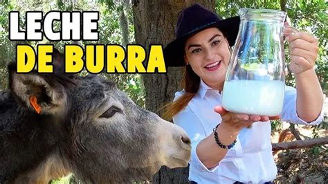 Ilustración de los componentes beneficiosos de la leche de burra para la piel.