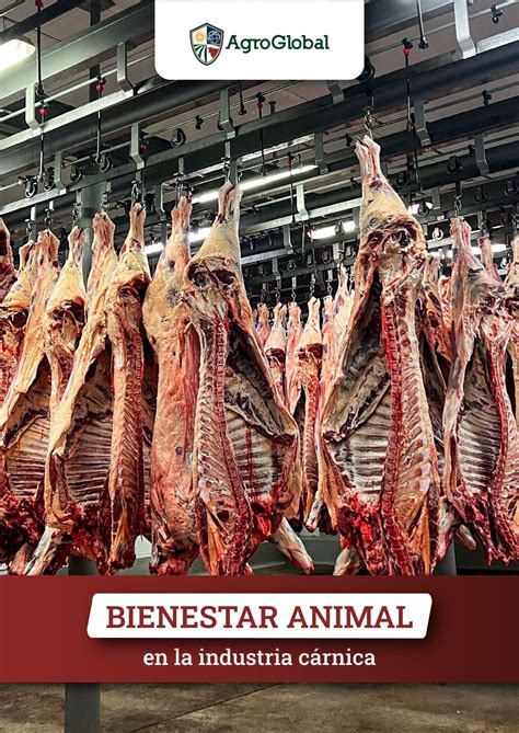 Auditorías de bienestar animal en la industria cárnica