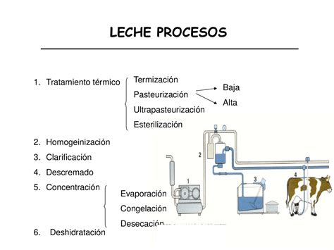 Esquema del proceso de separación de la leche y la nata