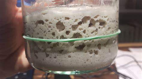 Masa madre sin gluten en un tarro de cristal