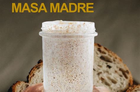 Gráfico de progreso de masa madre durante 10 días