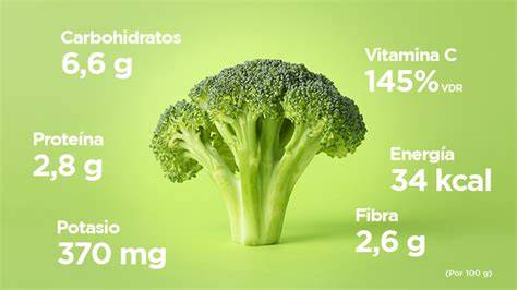 infografía sobre los nutrientes y vitaminas del brócoli