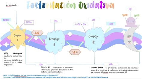 Gráfico de estabilidad oxidativa de la mayonesa con y sin Tocobiol®