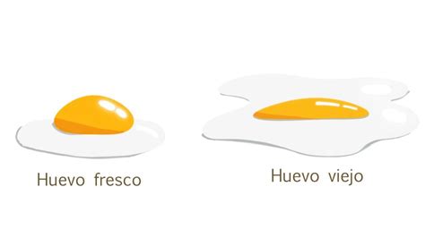 Tabla comparativa de huevos frescos y no frescos