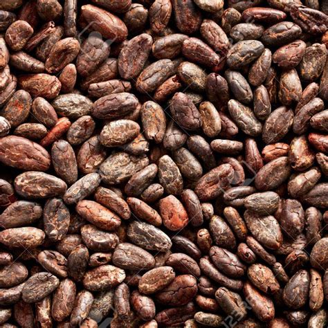 Granos de cacao
