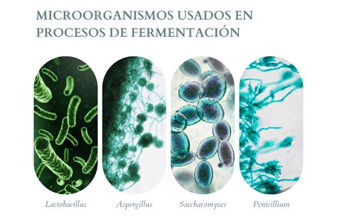 Gráfico de producción de CO2 en fermentaciones de levaduras killer y sensibles